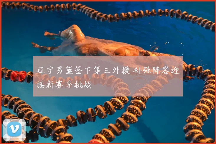 辽宁男篮签下第三外援 补强阵容迎接新赛季挑战