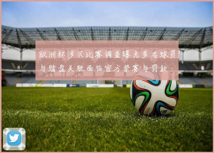 欧洲杯涉买比赛调查曝光多名球员与赌盘关联面临官方禁赛与罚款