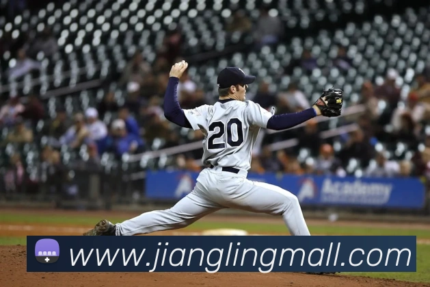 开云官方登录平台生态图