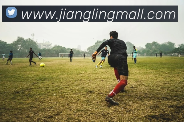 开云官方登录全站App